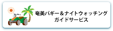 奄美バギー＆ナイトウォッチングガイドサービス