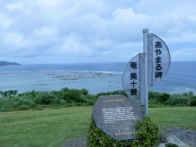 あやまる岬観光公園